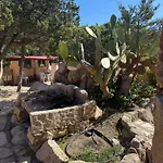 Degli Archi فيلة لا ماداّلينا