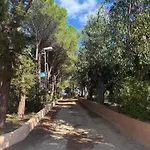 Degli Archi فيلة لا ماداّلينا